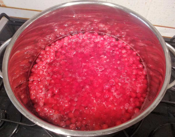 Желе из красной смородины